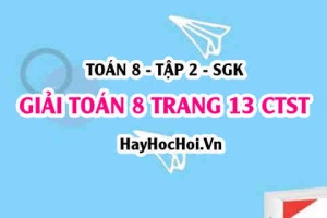 Giải Toán 8 trang 13 tập 2 Chân trời sáng tạo SGK